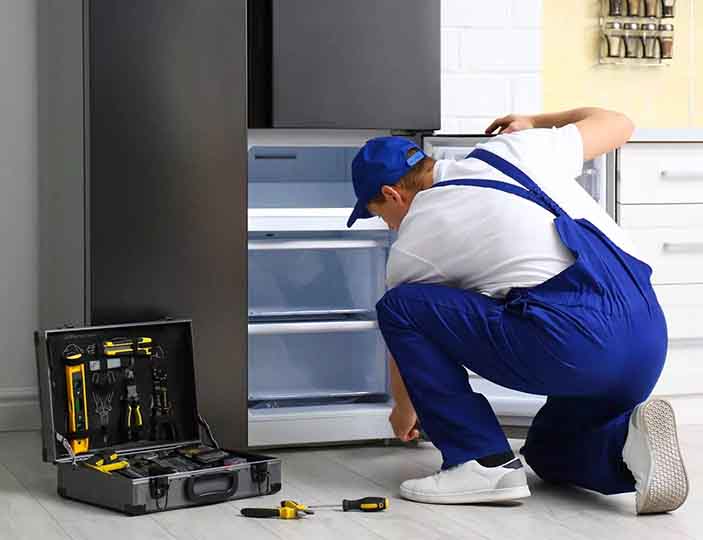 bosch fridge repairs pretoria east